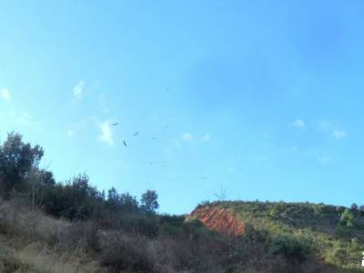 Monasterio Bonaval,Cañón del Jarama; parque nacional de monfragüe viajes programados pedriza madr